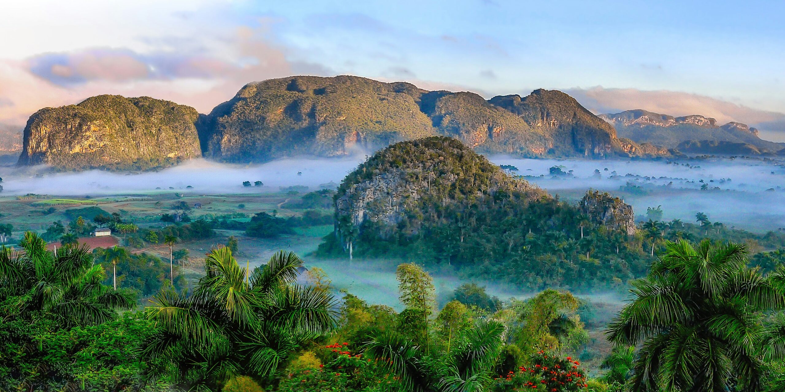 aerial-photography-of-mountains-and-near-trees-during-daytime-scaled-1 Aumento de Testosterona: Alimentos Naturais que Podem Ajudar